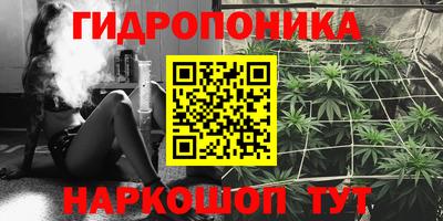 ГАЛЛЮЦИНОГЕННЫЕ ГРИБЫ Кинель