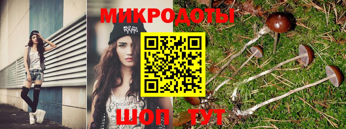 Псилоцибиновые грибы мицелий Валуйки